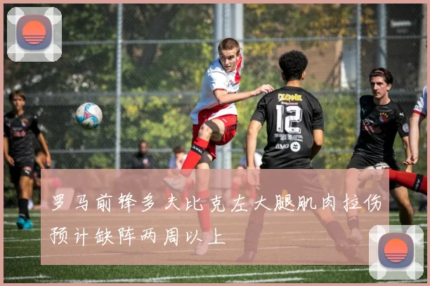 罗马前锋多夫比克左大腿肌肉拉伤预计缺阵两周以上